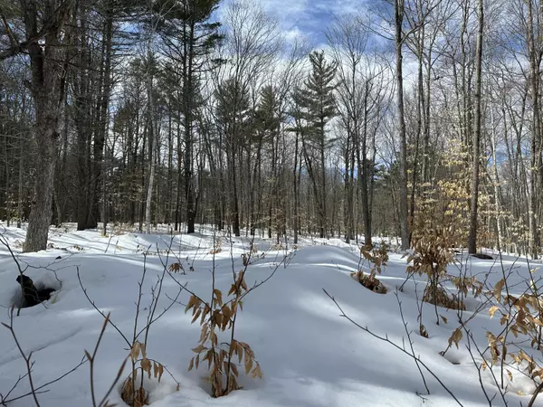 32 Asbury LN, Acton, ME 04001