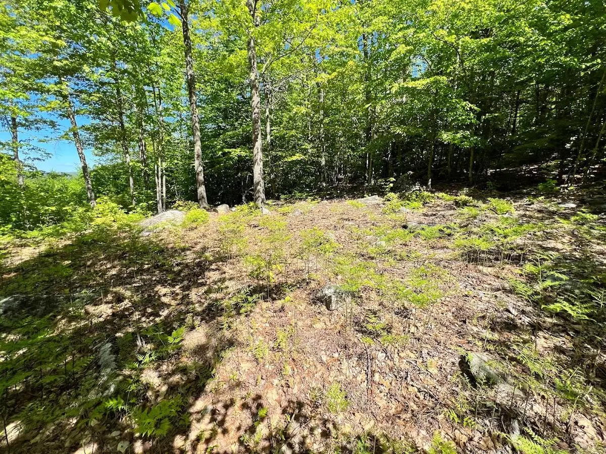 Waterford, ME 04088,Lot #31A McDaniels RD