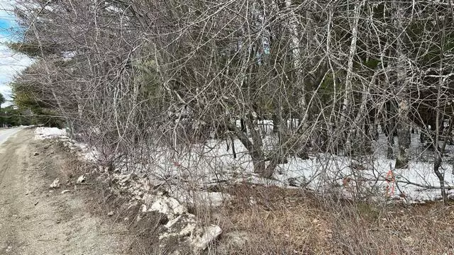 Otis, ME 04605,0 Otis RD