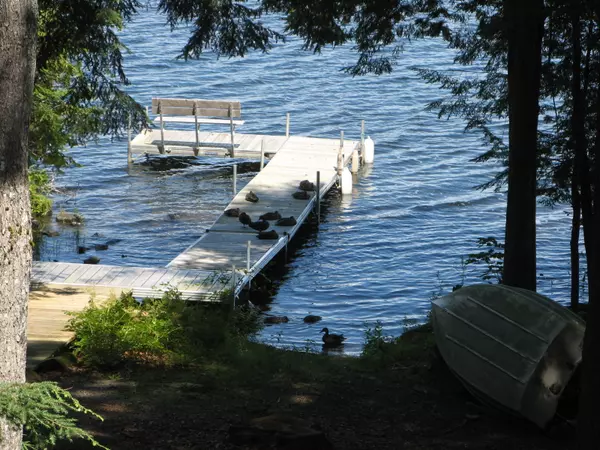 113 Maple Shore LN, Stetson, ME 04488