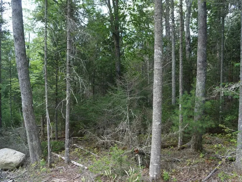 Lot 3 Sunset Hill RD, Hancock, ME 04640