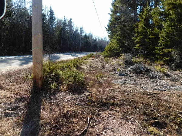 Steuben, ME 04680,14 Woods RD