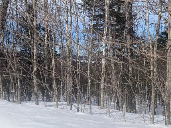 Greenville, ME 04441,Lot 4 Hilltop DR