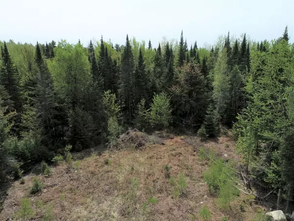 M10 L30-7 & 7A and L8 & 8A Birch LN, Canaan, ME 04924