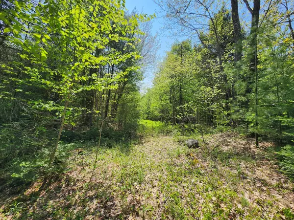 Rumford, ME 04276,Lot 3-1 Holman RD