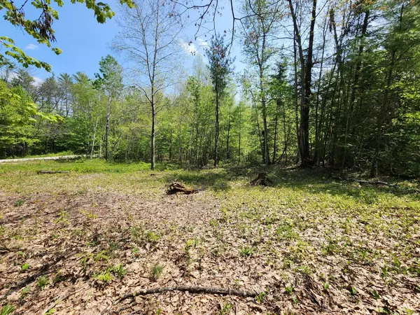 Rumford, ME 04276,Lot 3-1 Holman RD