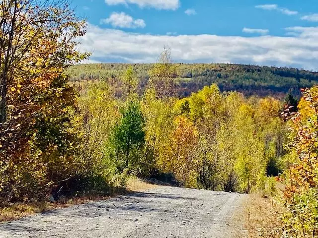 0 Dipper Pond RD, Carroll Plt, ME 04487