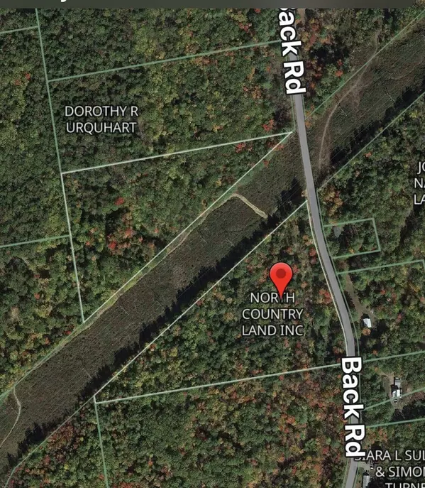 Lot 1 Back RD, Shapleigh, ME 04076