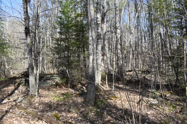 Winthrop, ME 04364,M35A L9-9 Fellows LN