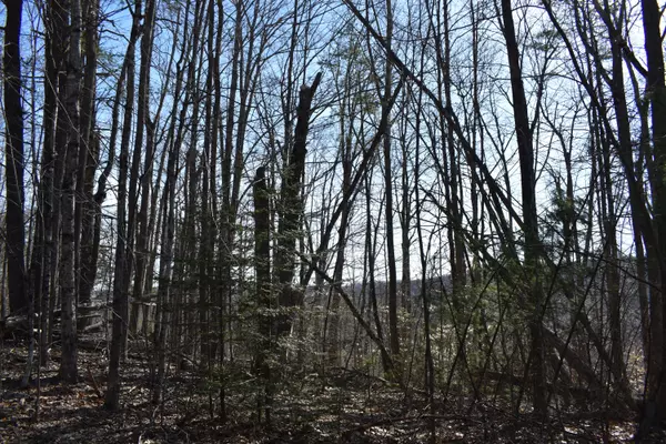 Winthrop, ME 04364,M35, L8-31 Saratoga DR
