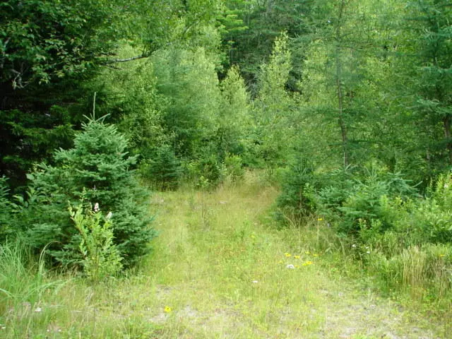0 Jacksonville RD, East Machias, ME 04630