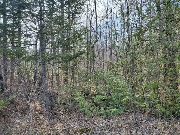 Newport, ME 04953,M10 L4-6 Hope RD