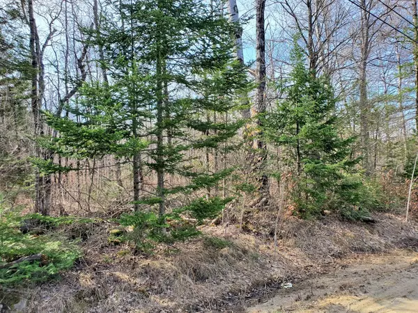 Newport, ME 04953,M10 L4-6 Hope RD