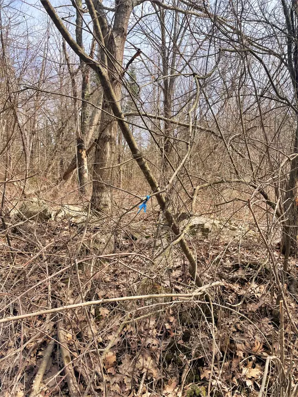 Westport Island, ME 04578,03 Main RD