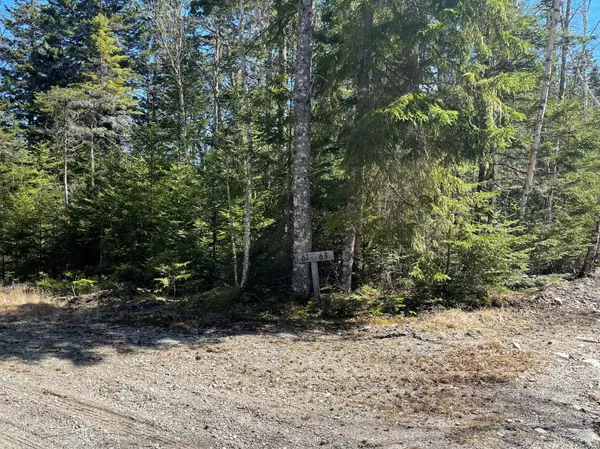 Roque Bluffs, ME 04654,634 Duck Cove RD