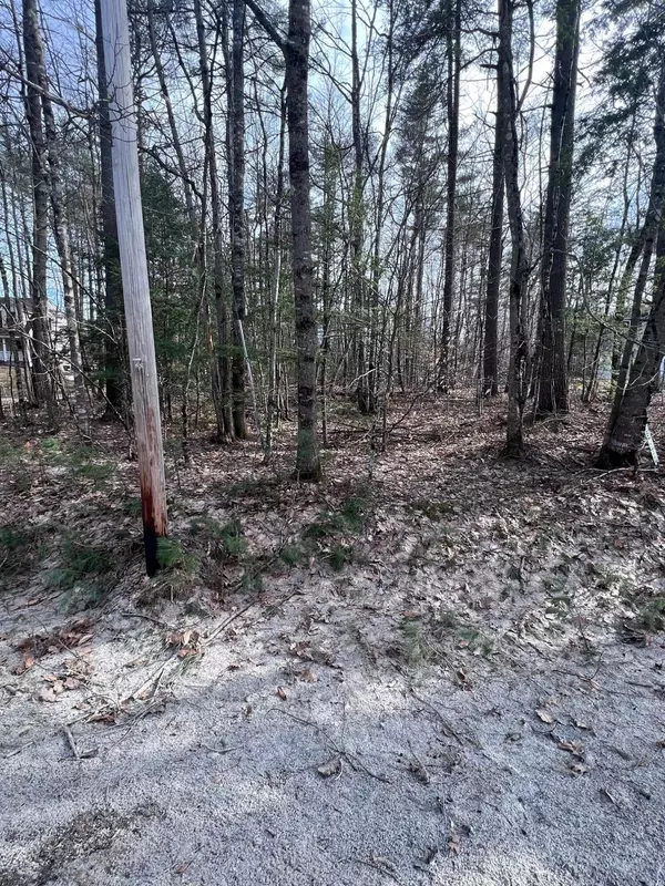 Waterboro, ME 04087,Lot 2048 map 46 Old Portland RD