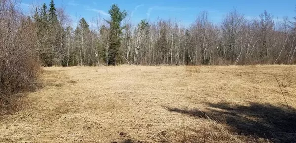 Lot 53.1 Reynolds RD, Unity Twp, ME 04988