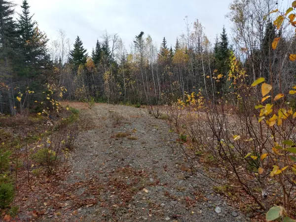 Whiting, ME 04691,Lot 9 Yellowbirch RD