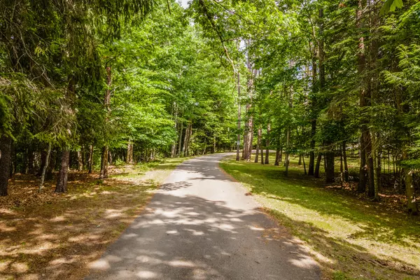 Grand Lake Stream Plt, ME 04668,137 Milford RD
