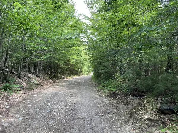 Wilton, ME 04239,M25 L22C Tobin Flat RD