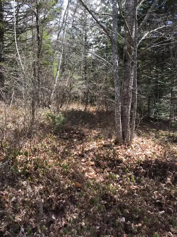 Steuben, ME 04680,M11L28H Bakers Point RD