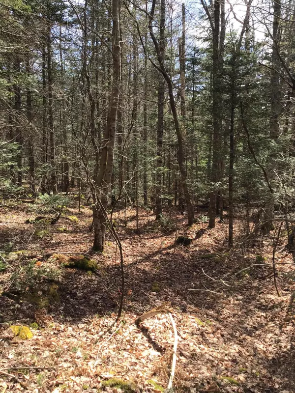 Steuben, ME 04680,M11L28H Bakers Point RD