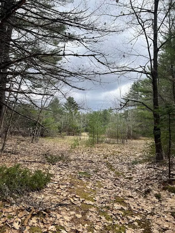 Waterford, ME 04088,Lot C Bisbee Town/Hunts Corner RD