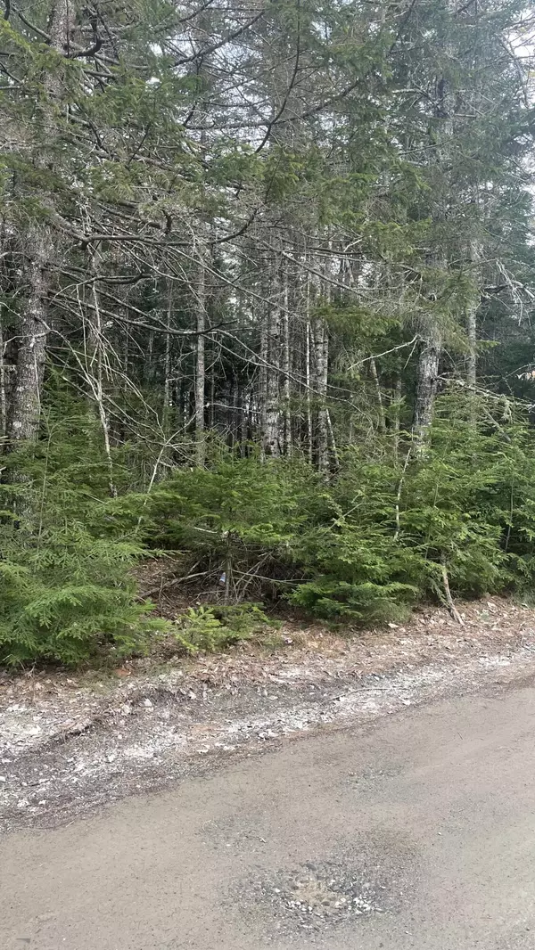 Mariaville, ME 04605,Lot 10 Silsby RD
