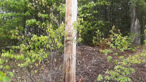 Phillips, ME 04966,R007 L21 Toothaker Pond RD