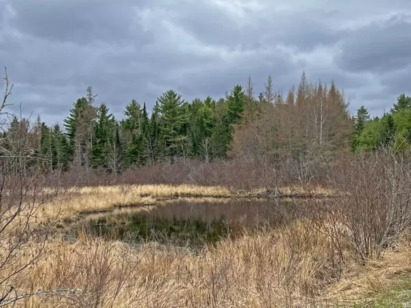 Mariaville, ME 04605,R14 Lot 27 Mariaville RD