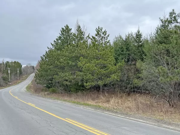 Mariaville, ME 04605,R14 Lot 27 Mariaville RD