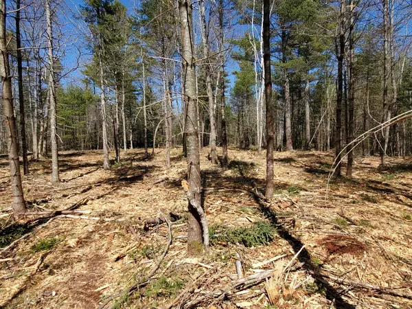 Lincolnville, ME 04849,Part 194A Crowley RD