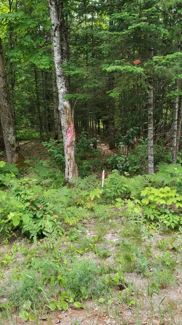 Lee, ME 04455,L 6 RT 168