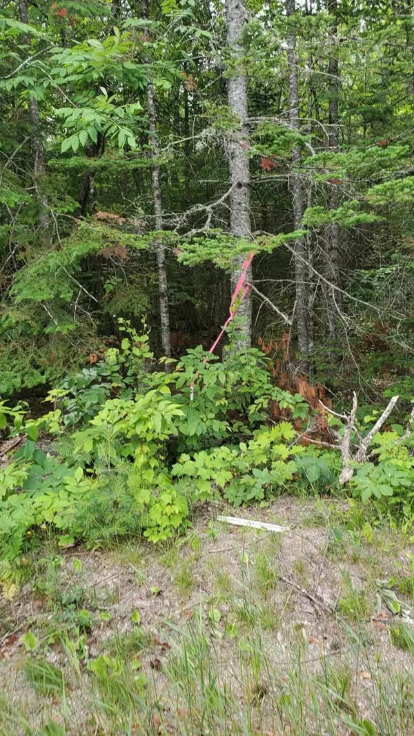 Lee, ME 04455,L 6 RT 168