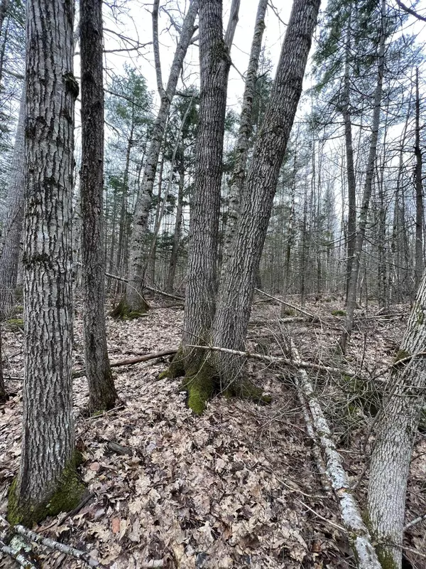 Liberty, ME 04949,lot 42 Off Upper Hostile Valley RD