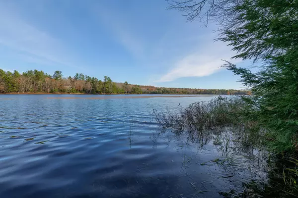 Surry, ME 04684,17 Paradise LN