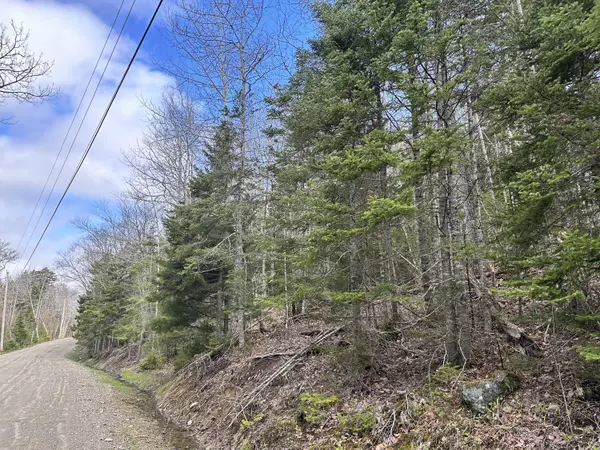 219 Knights Pond RD, Northport, ME 04849