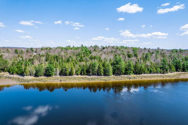 M005L089 Leaches Point RD, Orland, ME 04472