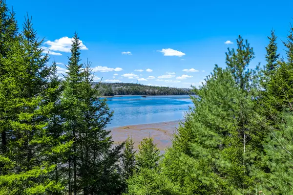 Orland, ME 04472,M005L089 Leaches Point RD