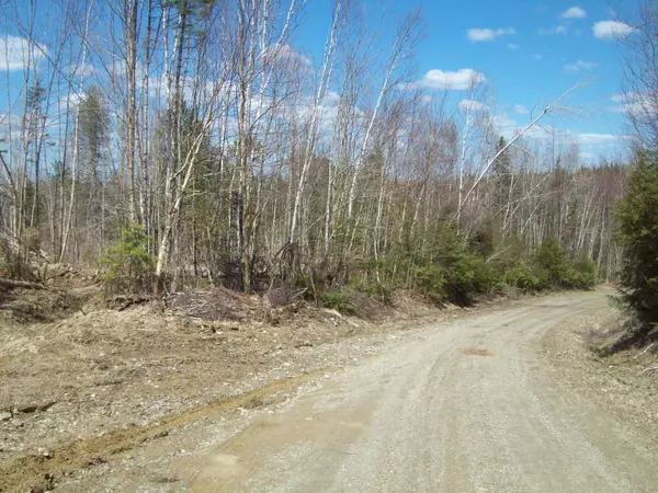 Prentiss Twp T7 R3 Nbpp, ME 04487,tbd Bluegrass Road