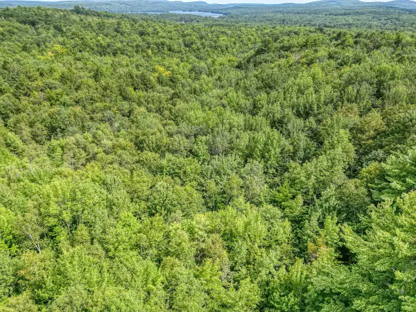 Otisfield, ME 04270,Lot #24A-1 Scribner Hill RD