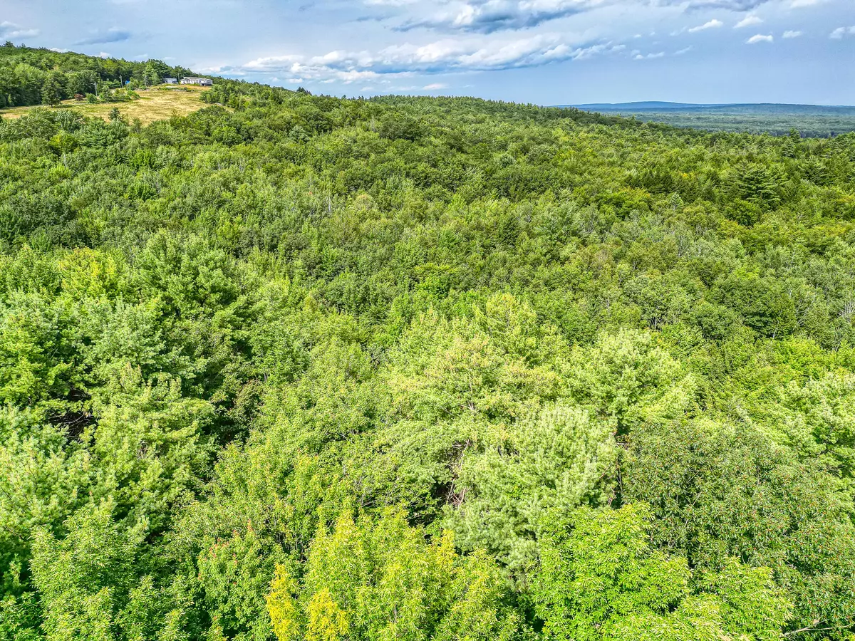 Otisfield, ME 04270,Lot #24A-1 Scribner Hill RD