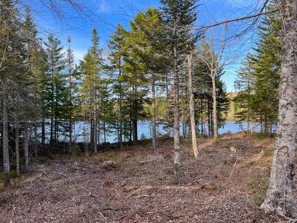 Robbinston, ME 04671,3 Steam Mill Road