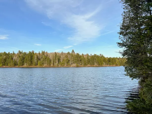 Robbinston, ME 04671,3 Steam Mill Road