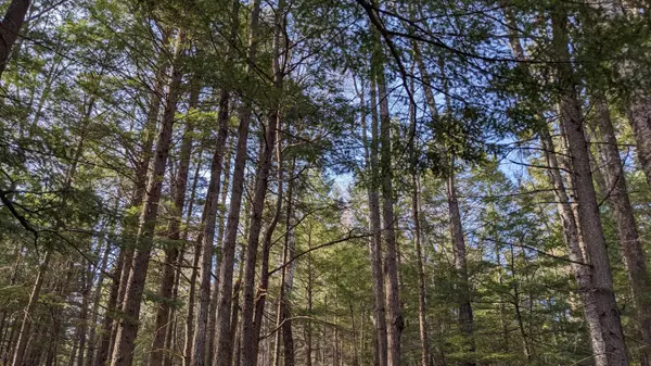 Stow, ME 04037,36 Fernalds Hill WAY