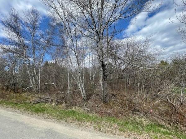 Lot F Mountain View DR, Baileyville, ME 04694