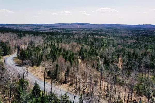 41 Black Bear LN, Greenville, ME 04441