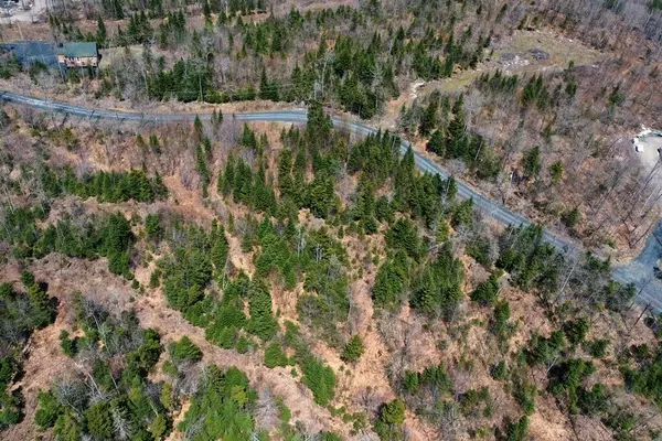 Greenville, ME 04441,41 Black Bear LN