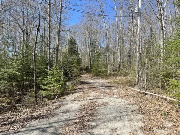 Surry, ME 04684,19 Oak Ridge LN