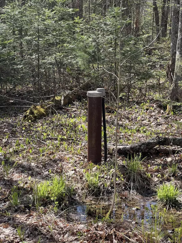 Surry, ME 04684,19 Oak Ridge LN